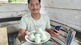 0-3968x2976-0-0-{}-0-24#